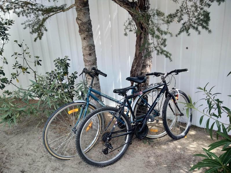Maison Jardin Wifi - Climatisation - 100 M Plage Sauvage - 20 Min Perpignan Torreilles Exterior foto